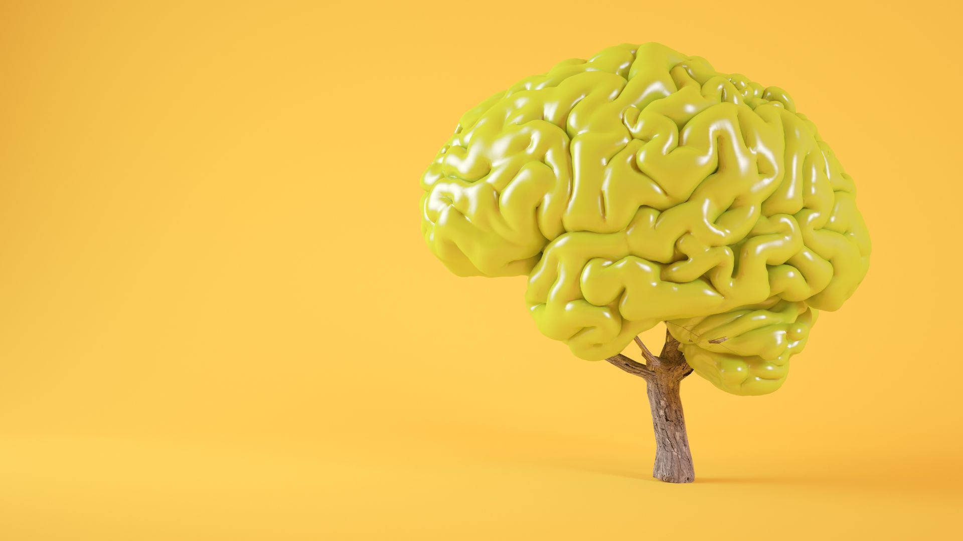 psychology-yellow-brain-model-lqfnvi14htdcsssr